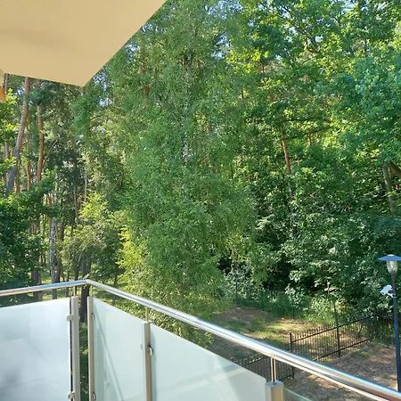 Morze Sztuki, Appartement Jantar