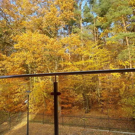 Morze Sztuki, Jantar