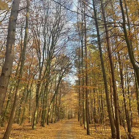 Appartement Morze Sztuki, Jantar