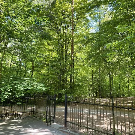 Morze Sztuki, * Jantar