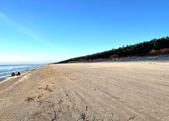 Morze Sztuki, Apartament