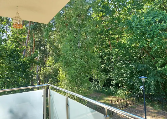 Morze Sztuki, Apartament Jantar