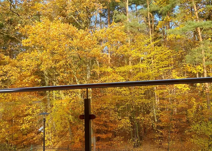 Morze Sztuki, Jantar