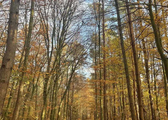 Apartament Morze Sztuki, Jantar