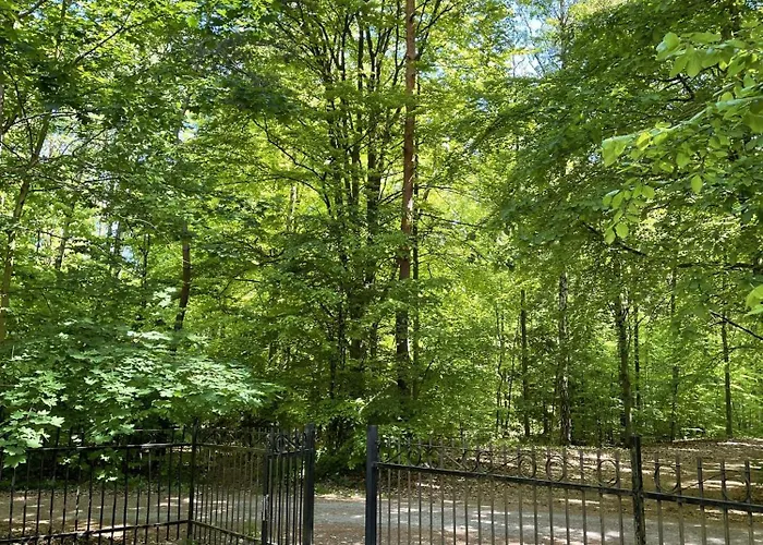 Morze Sztuki, * Jantar