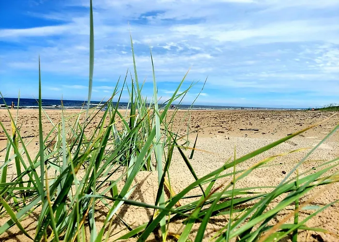 Morze Sztuki, Apartament